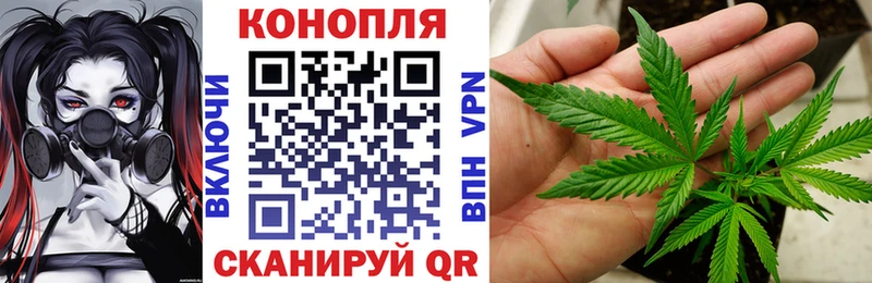 Марихуана сатива  МЕГА ТОР  Ардон 